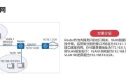 如何通过路由器重新设置IP地址（简单步骤教你更换IP地址，提升网络安全）