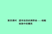 电脑核酸录入信息教程（使用电脑快速高效录入核酸信息，轻松完成报告填写）