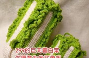 大白菜启盘教程（用大白菜为主角，打造令人垂涎欲滴的家常佳肴）