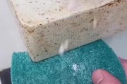 手机桌面顽固图标清理大作战（告别杂乱，恢复整洁）