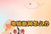 电脑解压系统链接网络错误（解决方法与优化方案）