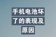 手机电磁波对人体的损坏（探究手机电磁辐射对健康的影响及防护方法）