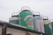 白酒与啤酒的完美搭配之道（探索混搭的新可能性，乐享独特口感）