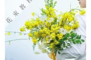 手把手教你种出美丽的油菜花（种植技巧、护理方法、收获心得一网打尽）