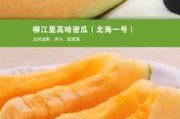 以水果一号为主题的全面介绍（水果一号的种植、品质和市场前景深度探析）