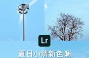 电脑调色新选择（探索瀑布LR调色教程，让你的电脑成为创作利器）