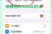 如何清除苹果手机软件中的缓存（简单有效的方法让你的手机恢复流畅）