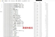 数据恢复方法及实践指南（从低级格式化到数据重现的全过程详解）