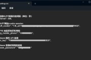 电脑梯子教程（一步步教你如何在电脑上使用梯子来访问被封锁的网站）