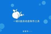 制作U盘启动盘教程（详细步骤教你制作U盘启动盘，快速解决系统问题）