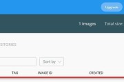 使用AWS的Docker（简化部署流程，提高应用程序的可扩展性和可靠性）