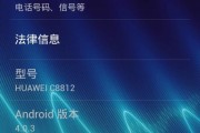 手机刷机后的影响及处理方法（了解手机刷机的风险与解决方案，保护手机安全）