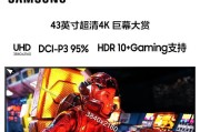 探索43寸显示器的优势与应用（大屏幕细节展现尽收眼底）