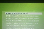 以ISO大白菜装系统教程为主题的一篇文章（简便实用的ISO大白菜装系统方法）