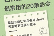 掌握这20个Linux常用命令，轻松应对面试！（面试必备的Linux常用命令及详细解析）