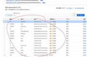 电脑DNS解析记录错误及其影响（解析记录错误带来的网络问题与解决方法）