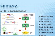 使用WimBuilder2构建PE系统教程（从零开始轻松搭建自己的个性化PE系统）