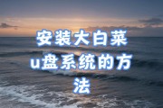 大白菜U盘测试教程（利用大白菜U盘制作自定义测试工具，轻松解决测试需求）