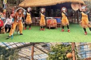雨林大风一键安装教程（轻松安装雨林大风，助您快速搭建高效网站）