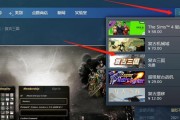 苹果电脑上的STEAM教程（让您的苹果电脑轻松运行STEAM平台，享受游戏世界的无限乐趣！）