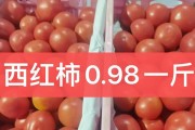 番茄家园光盘系统教程（轻松管理任务、时间与习惯，）