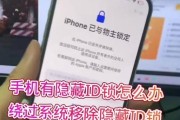 如何使用电脑手机刷机教程苹果（详细步骤和注意事项，让你轻松刷机）