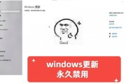 Windows更新被禁用恢复技巧（解决Windows更新禁用问题的有效方法）