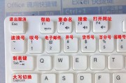电脑键盘的认识与使用（解读电脑键盘的功能与技巧，提升操作效率）