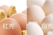 揭秘鸡蛋颜色的奥秘（探索鸡蛋颜色的好处与意义）