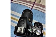 尼康D5600高感性能如何？（探索尼康D5600在高感光度条件下的影像表现与噪点控制能力）