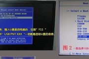如何使用启动U盘安装系统的方法与步骤（制作戴尔电脑启动U盘并进行系统安装的教程）