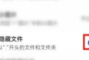 揭秘隐藏文件的神秘面纱（探索隐藏文件调出来的方法，让你事半功倍！）