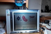 惠普TC1100（便携性与实用性的完美结合）