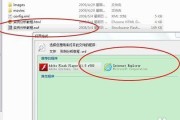电脑无法播放SWF文件的常见错误（如何解决SWF文件无法在电脑上播放的问题）