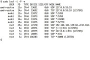 一招就搞定！查看本机端口状态的命令秘籍（轻松掌握，端口状态一目了然）