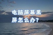 电脑黑屏意外错误大揭秘（解决电脑黑屏问题的有效方法）