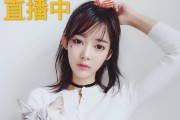 以莱可传媒（深入剖析以莱可传媒的成功之道）
