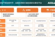 华为PAAS部门（领先技术、全方位支持、卓越用户体验）