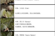 探索森林电脑版的作弊码世界（解锁无限可能，畅享游戏乐趣）
