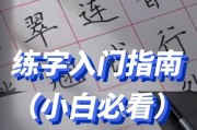 小白电脑练字基础教程（从零开始，轻松掌握优雅字体的秘诀）