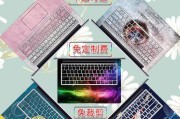 如何使用贴纸为索尼电脑增添个性（简单易学的索尼电脑贴纸教程）