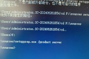 电脑错误1004的解决方法（了解错误1004并找到有效解决方案）