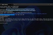 探索最佳系统安装工具（选择合适的工具提高系统安装效率）