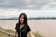 老挝手机销售市场的现状及前景展望（探索老挝手机市场的商机与挑战）