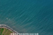 One手机的优势和特点（探索One手机的卓越性能和革新设计）