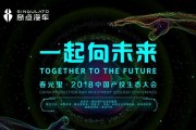 奇点资本（深入剖析奇点资本的发展策略与成功案例）