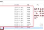 使用U盘在Mac上安装双系统的完整教程（详细步骤及技巧，轻松实现Mac与Windows双系统切换）