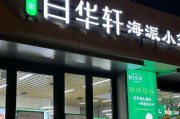 以海派手机评测及推荐（以海派手机的功能、性能和用户体验全面解析）