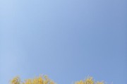 魅蓝X拍照效果全面解析（优质画面，一触即发）