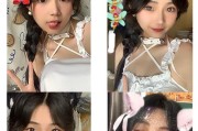 掌握苹果电脑ins拍照技巧（用苹果电脑拍摄绝美照片的秘诀）